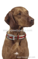 Softable Durable Nylon Dog collar