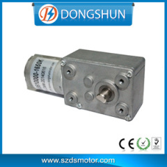 DC Worm Gear Motor