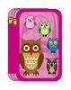 DIY OWL Double Zipper Pencil Case 2 Compartments Zipper Bag Low Cadmium