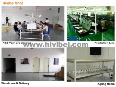 Shenzhen Hivibel Technology Co.,Ltd