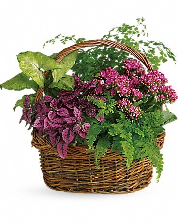 Secret Garden Basket