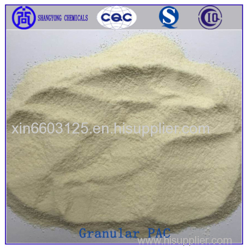 Polyanionic Cellulose Granules PAC