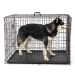 Speedypet Brand Large Size Dog Metal Cage With Plate