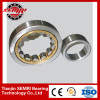 Cylindrical Roller Bearing Cylindrical Roller Bearing