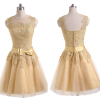 ALBIZIA Gold Lace Short Prom Gown Tulle Bridal Cocktail Dresses for Bride 2015