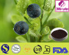 stevia extract in the raw Stevia Extract