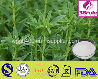 bilberry extract for skin Bilberry Extract