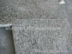 Tiger skin white granite