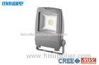 Epistar COB Chip 10W RGB LED Flood Light Outdoor IP65 for Landscape Lighting