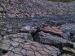 Wide Variety PVC Coated Gabion Boxes With Low Carbon Hot Dipped