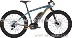 Felt Lebowsk-E 10 Fat Bike 2016 - Electric Bike