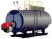 Oil gas fired boiler