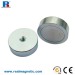 AlNiCo magnet with read painting coating