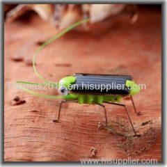 Factory product Solar energy product Solar power product Solar Locust grasshopper Solar toy kit green eco-friendly