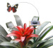 Factory product Solar energy product Solar power product Solar insect Butterfly Solar toy kit green eco-friendly 021