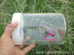 Factory Solar energy product Solar power product Solar insect Butterfly in bottle Solar toy kit green eco-friendly 022