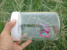Factory Solar energy product Solar power product Solar insect Butterfly in bottle Solar toy kit green eco-friendly 022