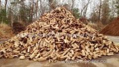 Oak firewood in net bags