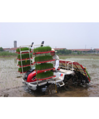 High speed rice transplanter