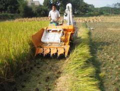 Mini combine rice harvester