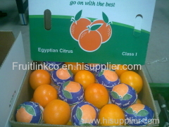 Egyptian fresh navel orange by fruit link