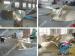 Marine Boat Propulsion Systems 5 Blade Copper High Speed Propeller