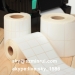 anti-counterfeiting blank eggshell sticker/tamper proof sticker labels/blank roll labels