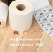 blank tamper evident labels/destructible paper sticker/self adhesive paper roll