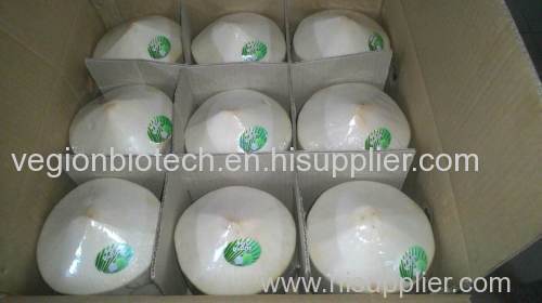 Fresh Young Coconut from Viet Nam