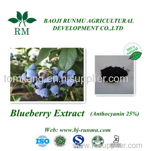 Factory price blueberry extract anthocyanidins 25%