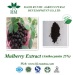 Mulberry extract anthocyanidins 25%