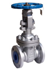 CAST STEEL GATE VALVE