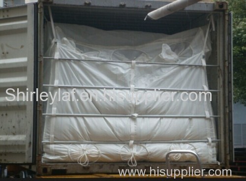 container liner with two airbags