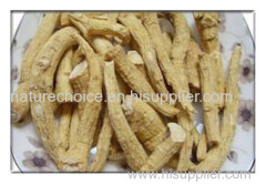 ginseng root ginseng tail