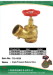 fire hydrant Valve & Siamese valve