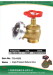 fire hydrant Valve & Siamese valve
