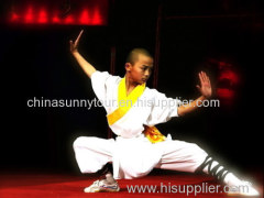 Kung Fu beijing one day tour
