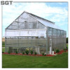 green house glass tempered glass for horticulture