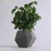 Grey Cylinder Flower Concrete Plant Pots Irregular Pattern Home Decoration