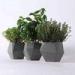 garden smart plant grow pots/folding plant pot with high quality