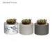 Decorative Cement flower pots