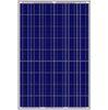 22.5KG 300W Polycrystalline Solar Energy Panels 1950 X 990 X 45 mm IP65