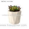 Decorative White Cylinder Concrete Plant Pots Irregular Pattern 9cm 12cm