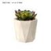 Decorative White Cylinder Concrete Plant Pots Irregular Pattern 9cm 12cm