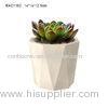 Decorative White Cylinder Concrete Plant Pots Irregular Pattern 9cm 12cm