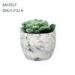 Succulent cylinder Concrete Plant Pots outdoor Imitation marble 15.3 cm 12.4cm