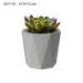 Large Oval Geometric Concrete Plant Pots Handmade Waterproof For Indoor