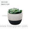 Black Succulents Concrete Plant Pots Outdoor Decoration Mixed colors