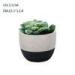Black Succulents Concrete Plant Pots Outdoor Decoration Mixed colors