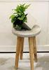 Disassemble concrete stool household decoration with ashtree wood legs